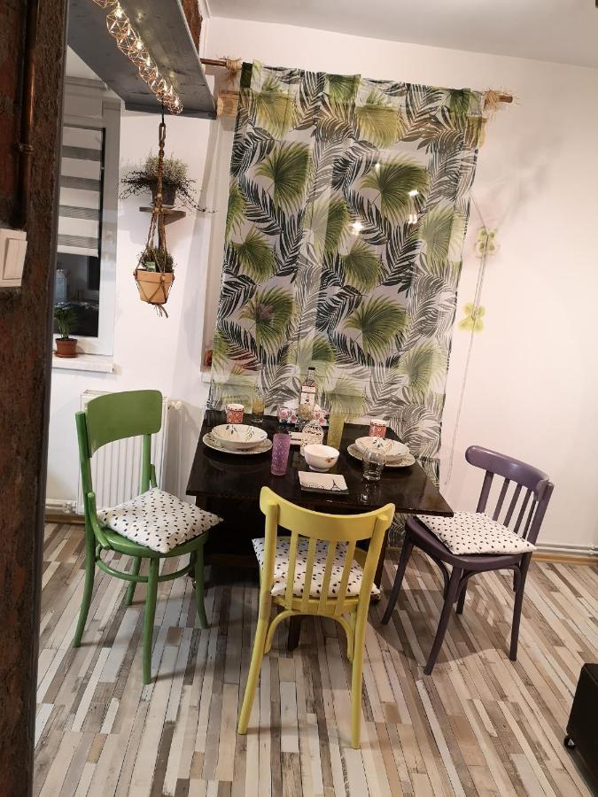Apartament Little Modern Folk Apt Vălenii de Munte Zewnętrze zdjęcie